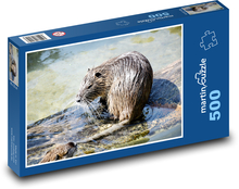 Divoká ondatra v mokřadu Puzzle 500 dílků - 46 x 30 cm