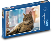 Kot domowy Puzzle 500 elementów - 46x30 cm