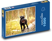 Sznaucer w jesiennym lesie Puzzle 1000 elementów - 60x46 cm