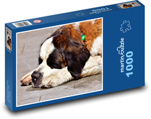 Sweet canine dreaming of St. Bernard Puzzle 1000 pieces - 60 x 46 cm 