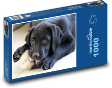 Labrador Welpe mit Spielzeug Puzzle 1000 Teile - 60 x 46 cm