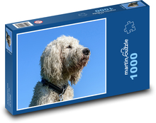 Bílý kudrnatý pes na modré obloze Puzzle 1000 dílků - 60 x 46 cm