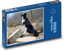 Border collies in the forest Puzzle 1000 pieces - 60 x 46 cm