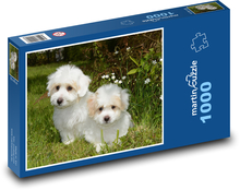 Zwei Welpen im Gras, Coton de Tulear Puzzle 1000 Teile - 60 x 46 cm
