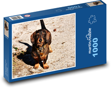 Niedlicher Dackel beim Spazierengehen Puzzle 1000 Teile - 60 x 46 cm