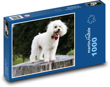 Uroczy biały pudel z kokardką Puzzle 1000 elementów - 60x46 cm