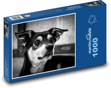Puzzle dla miłośników psów, czarno-biały portret Puzzle 1000 elementów - 60x46 cm