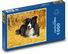 Border Collie auf Stroh Puzzle 1000 Teile - 60 x 46 cm