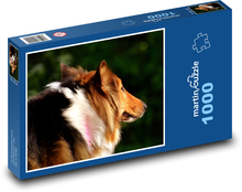 Pes - Collie Puzzle 1000 dielikov - 60 x 46 cm 