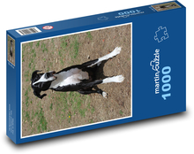 Pes kamarád připraven vyrazit Puzzle 1000 dílků - 60 x 46 cm