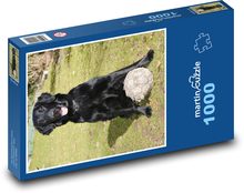 Hundefußballer Puzzle 1000 Teile - 60 x 46 cm