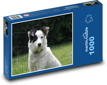 Loyale Augen des Hundes Puzzle 1000 Teile - 60 x 46 cm