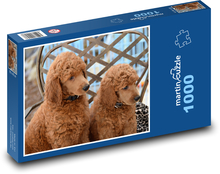 Two Goldendoodle Furry Dogs Puzzle 1000 pieces - 60 x 46 cm
