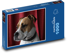 Pies Pit Bull Puzzle 1000 elementów - 60x46 cm