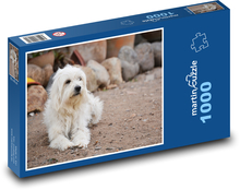 Biely chlpatý pes na dvore Puzzle 1000 dielikov - 60 x 46 cm