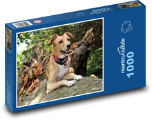 Dog adventurer in the forest Puzzle 1000 pieces - 60 x 46 cm