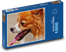 Věrný psí přítel, papillon  Puzzle 1000 dílků - 60 x 46 cm