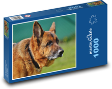 Hund, stiller Beschützer Puzzle 1000 Teile - 60 x 46 cm