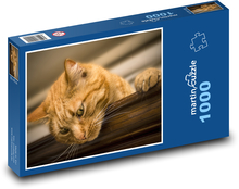 Redhead cat indoors Puzzle 1000 pieces - 60 x 46 cm 
