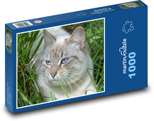 Katze Puzzle 1000 Teile - 60 x 46 cm