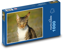 Kočka s pronikavým pohledem Puzzle 1000 - 60x46 cm