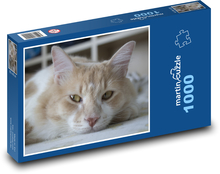 Odpočívajúca mačka Puzzle 1000 dielikov - 60 x 46 cm 