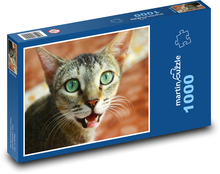 Zelenooká mačka Puzzle 1000 dielikov - 60 x 46 cm 