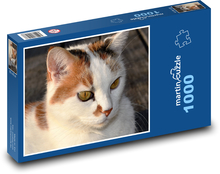 Warmes Katzenporträt Puzzle 1000 Teile - 60 x 46 cm