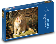 Kočka Puzzle 1000 dílků - 60 x 46 cm