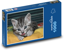Koťátko plné zvědavosti Puzzle 1000 dílků - 60 x 46 cm