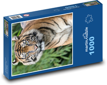 Neugieriger Tiger im Gras Puzzle 1000 Teile - 60 x 46 cm