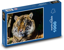 Ein im Schatten ruhender Tiger Puzzle 1000 Teile - 60 x 46 cm