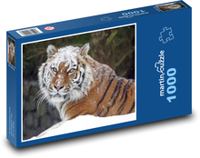 Tygr v mrazivé divočině Puzzle 1000 - 60x46 cm