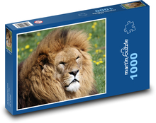 Majestátny lev v tráve Puzzle 1000 dielikov - 60 x 46 cm