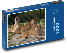 Savannah Löwin in Ruhe Puzzle 1000 Teile - 60 x 46 cm