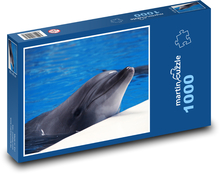 Delfiny spokojne nad wodą Puzzle 1000 elementów - 60x46 cm