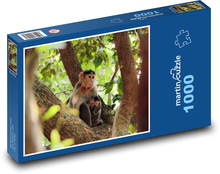 Affe auf einem Baum mit einem Jungtier Puzzle 1000 Teile - 60 x 46 cm