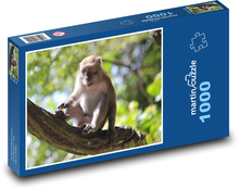 Affen in den Baumwipfeln Puzzle 1000 Teile - 60 x 46 cm