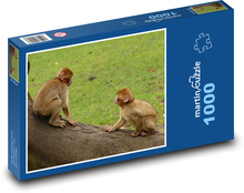 Opice Puzzle 1000 dielikov - 60 x 46 cm 