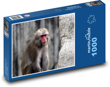 Opice v tichém zamyšlení Puzzle 1000 dílků - 60 x 46 cm