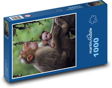 Opice s mládětem na stromě Puzzle 1000 dílků - 60 x 46 cm