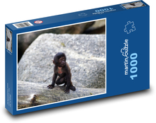 Ciekawska małpka Puzzle 1000 elementów - 60x46 cm