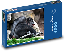 Opice Puzzle 1000 dielikov - 60 x 46 cm 