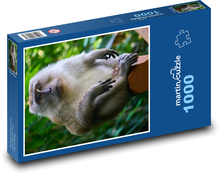 Opice Puzzle 1000 dielikov - 60 x 46 cm 