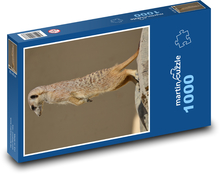 Surykatka na straży Puzzle 1000 elementów - 60x46 cm