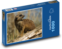 Meerkats sitting on a log Puzzle 1000 pieces - 60 x 46 cm 