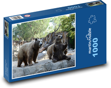 Medveď Puzzle 1000 dielikov - 60 x 46 cm 