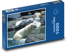 Lední medvěd ve vodě Puzzle 1000 dílků - 60 x 46 cm