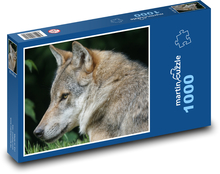 Szary wilk w lesie Puzzle 1000 elementów - 60x46 cm