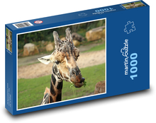 Žirafa žvýkající trávu Puzzle 1000 - 60x46 cm